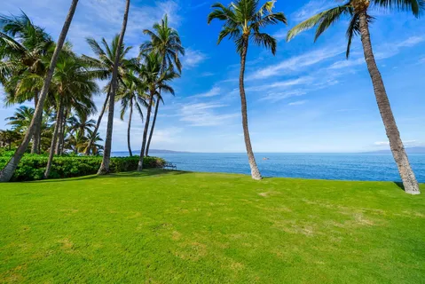 $4,999,999 | 1656 Halama Street, Kihei, HI 96753
