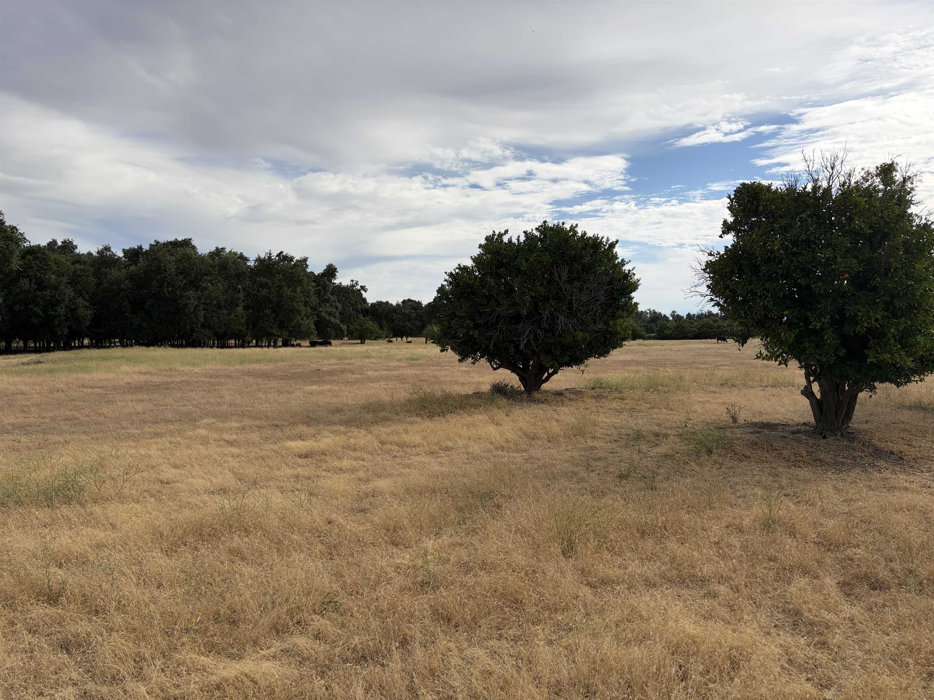 19115 Simpson Road Corning, CA 96021 - Photo 35 of 35