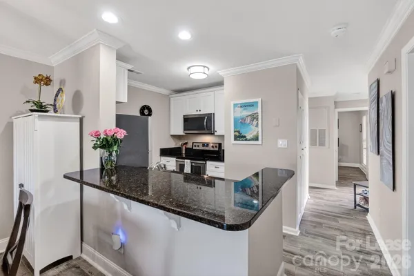 $2,800 | 18695 Vineyard Point Lane, Cornelius, NC 28031