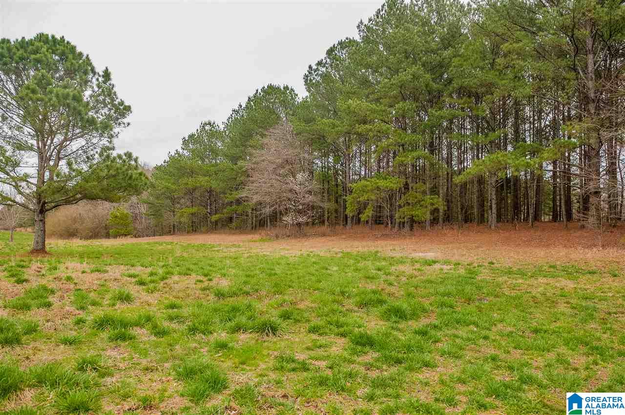 1085 Jones Chapel Loop Springville, AL 35146 - Photo 25 of 32