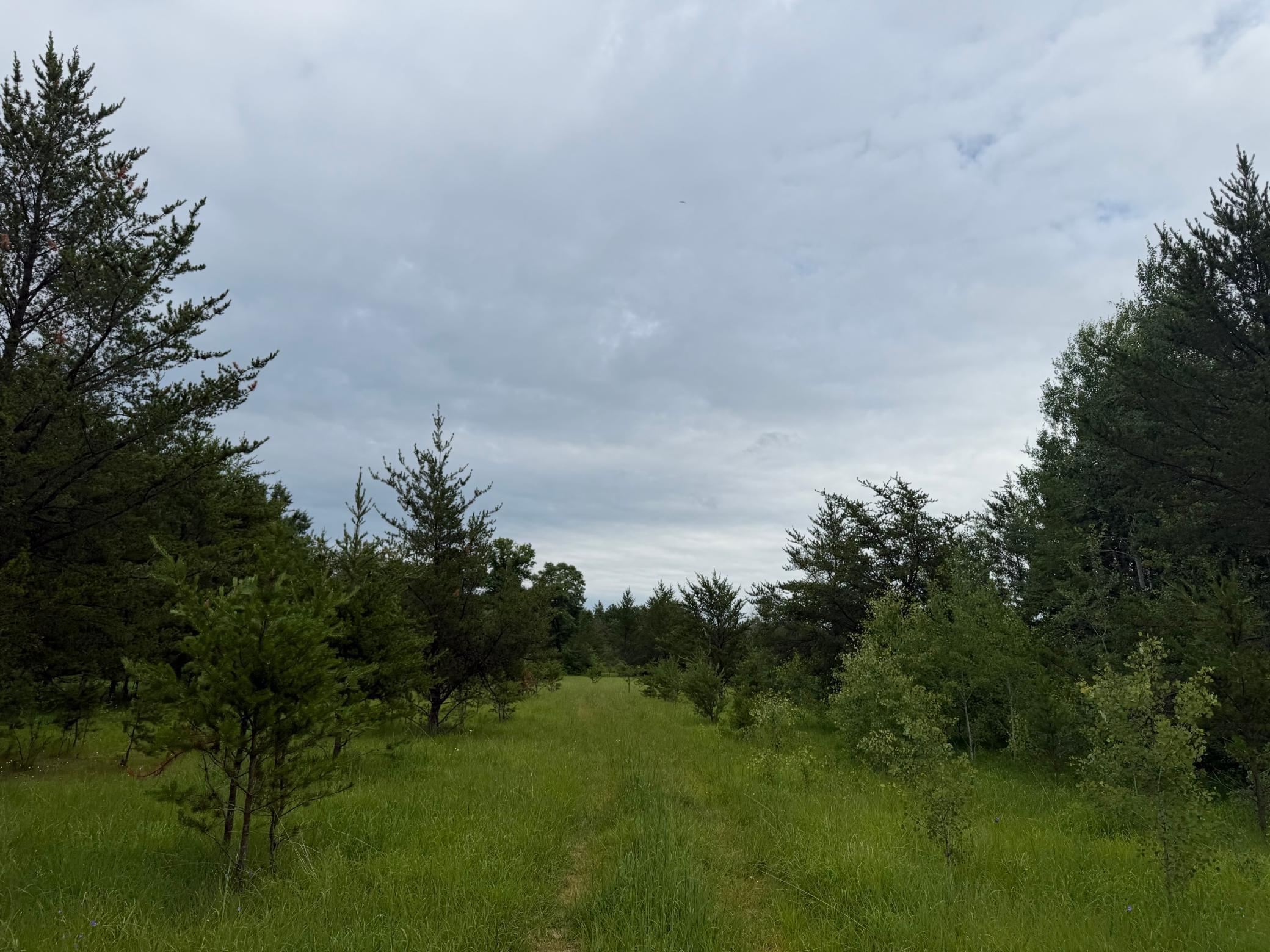 Tbd 350th Street Sebeka, MN 56477 - Photo 53 of 100