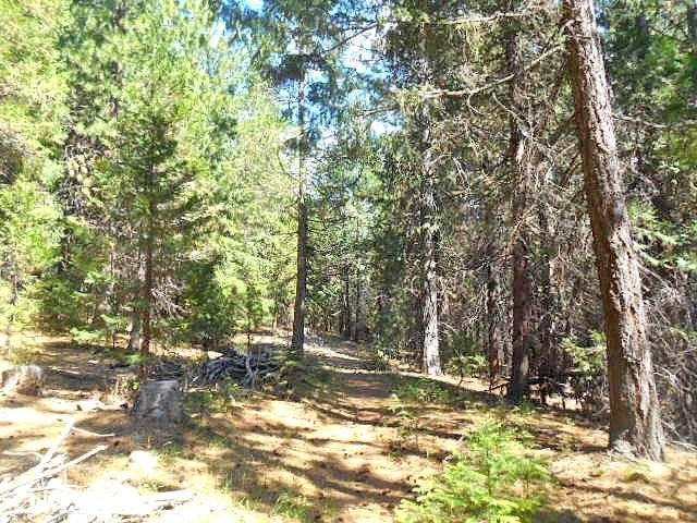 Lot 4 Off Westerly Deetz Road Rd Mount Mount Shasta, CA 96067 - Photo 5 of 11 Gallery Image 5