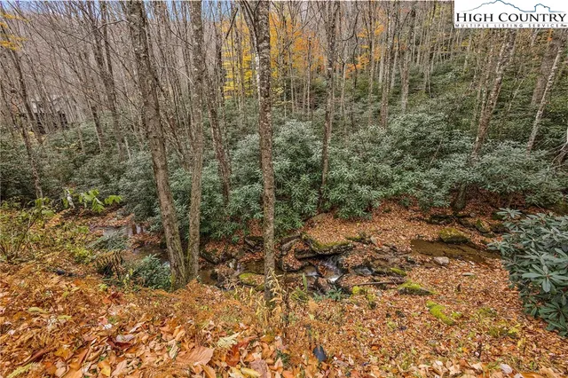 $699,000 | 133 Buckeye Ridge Road, Beech Mountain, NC 28604