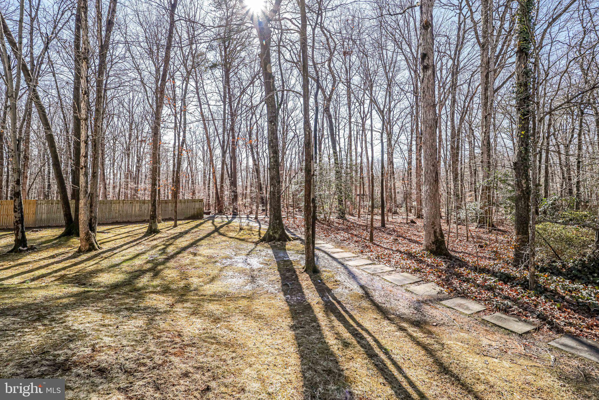 10177 Marshall Pond Road Burke, VA 22015 - Photo 64 of 66 Walking path leads to a tot lot & other trails