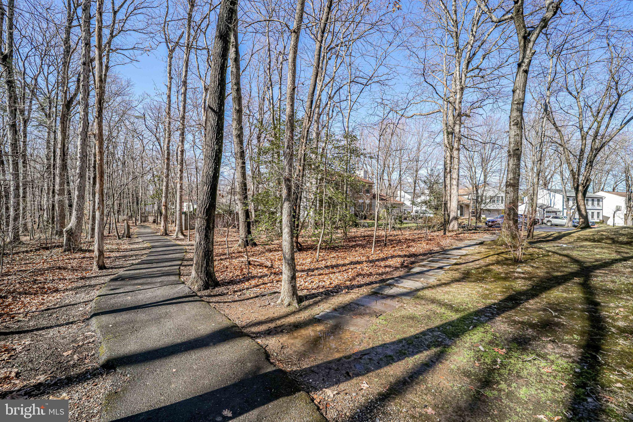 10177 Marshall Pond Road Burke, VA 22015 - Photo 66 of 66 One of many HOA trails in Burke Centre