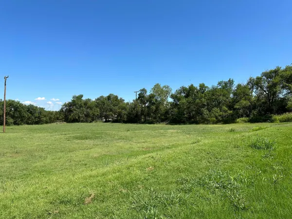 a view of field with lots of trees