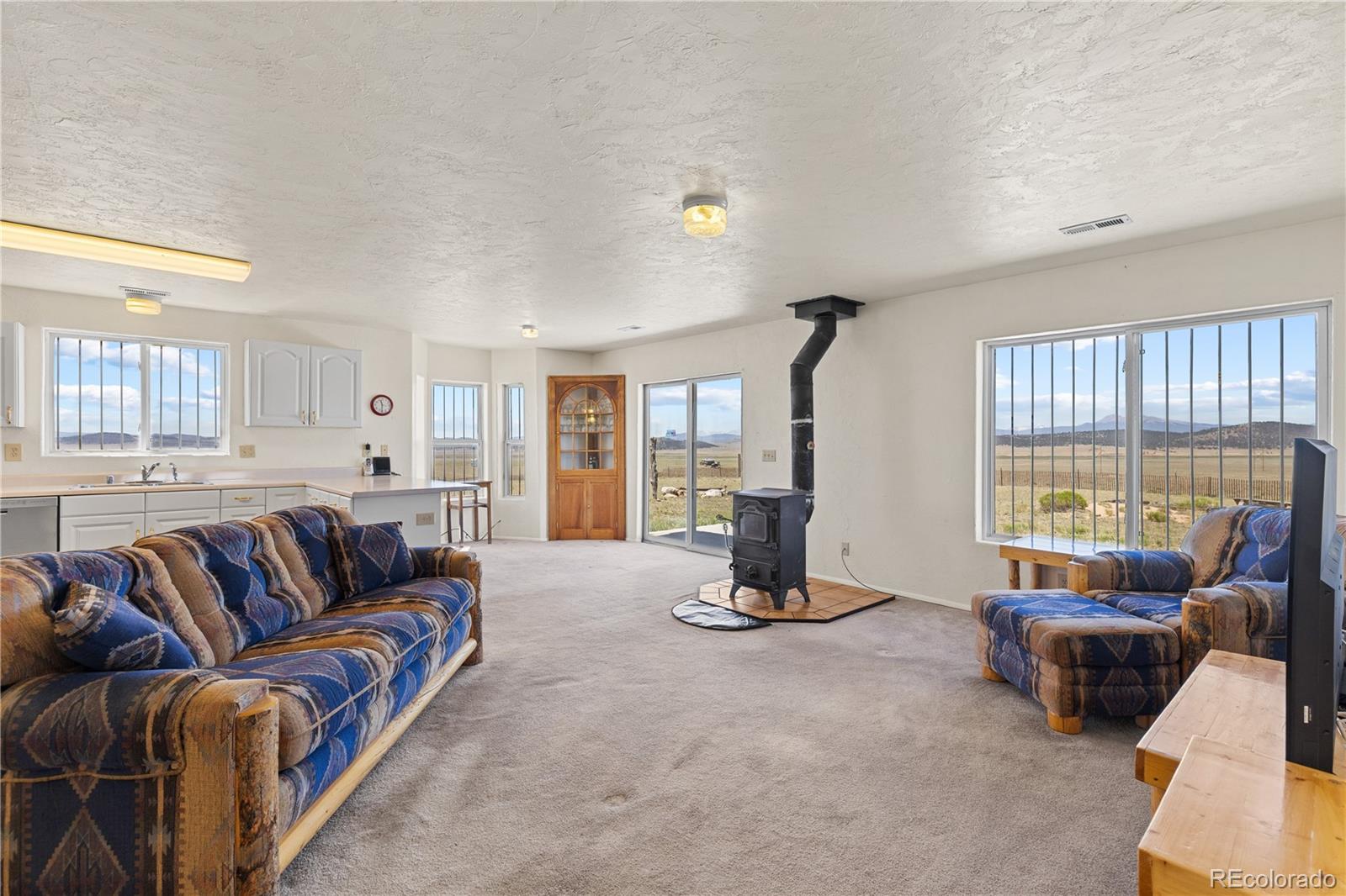 1421 Larimer Road Hartsel, CO 80449 - Photo 10 of 43