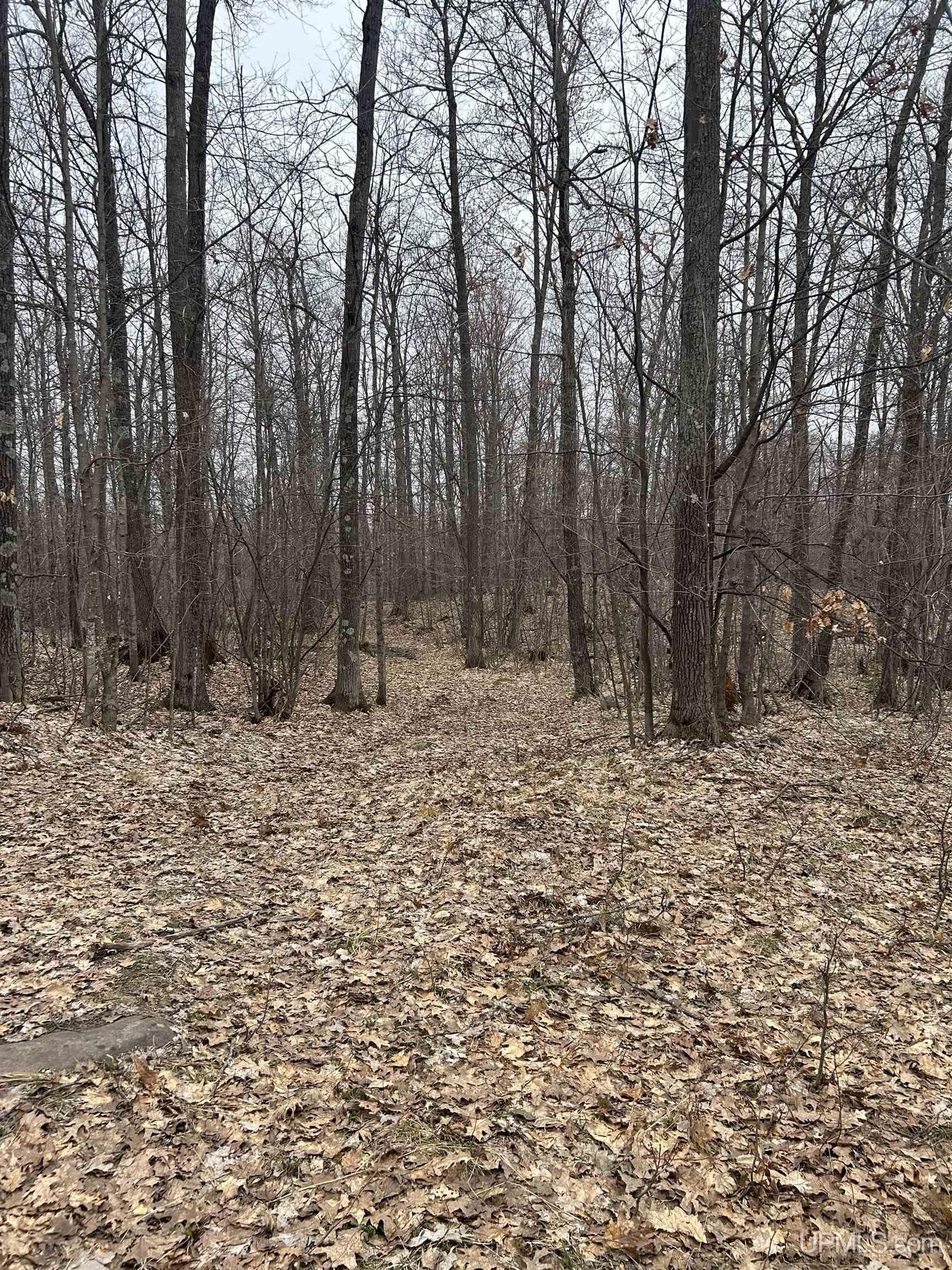 Near Krooks Road Negaunee, MI 49866 - Photo 12 of 15