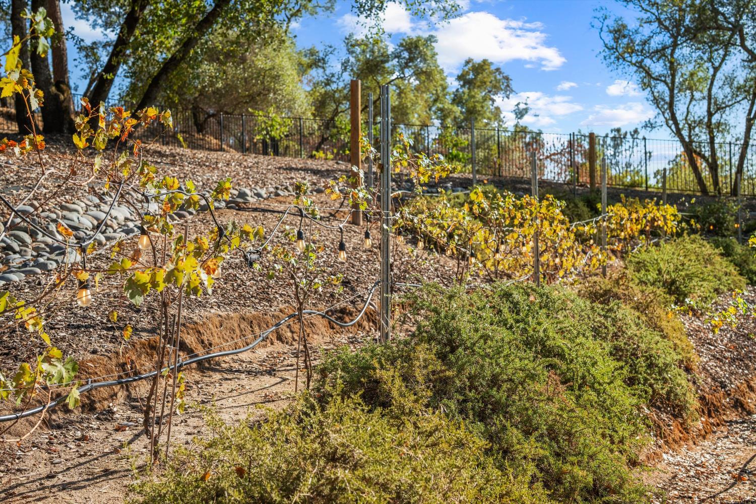 7006 Rutherford Canyon Road Loomis, CA 95650 - Photo 76 of 99 Gallery Image 76
