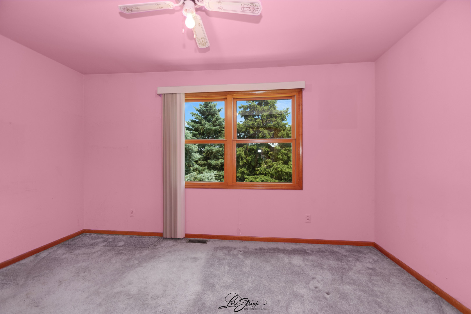 280 Park Chebanse, IL 60922 - Photo 27 of 27