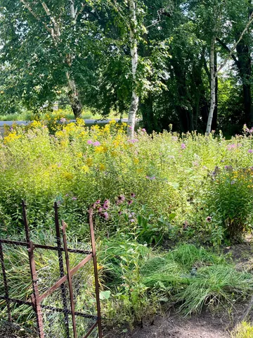 $439,400 | 6312 230th Street, St. Augusta, MN 56301