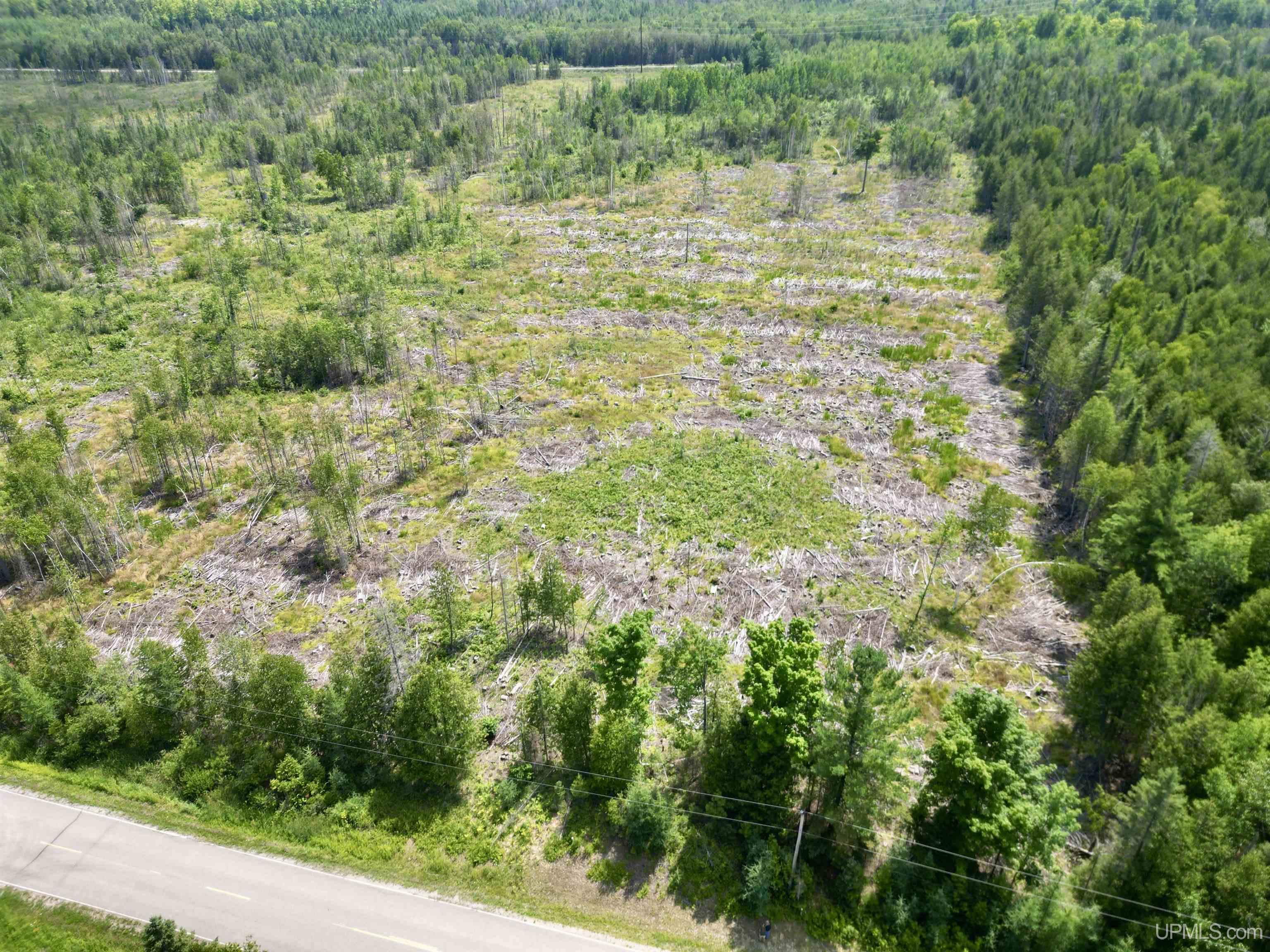 Tbd Cr 400 Road, Unit 23 Perronville, MI 49873 - Photo 2 of 19
