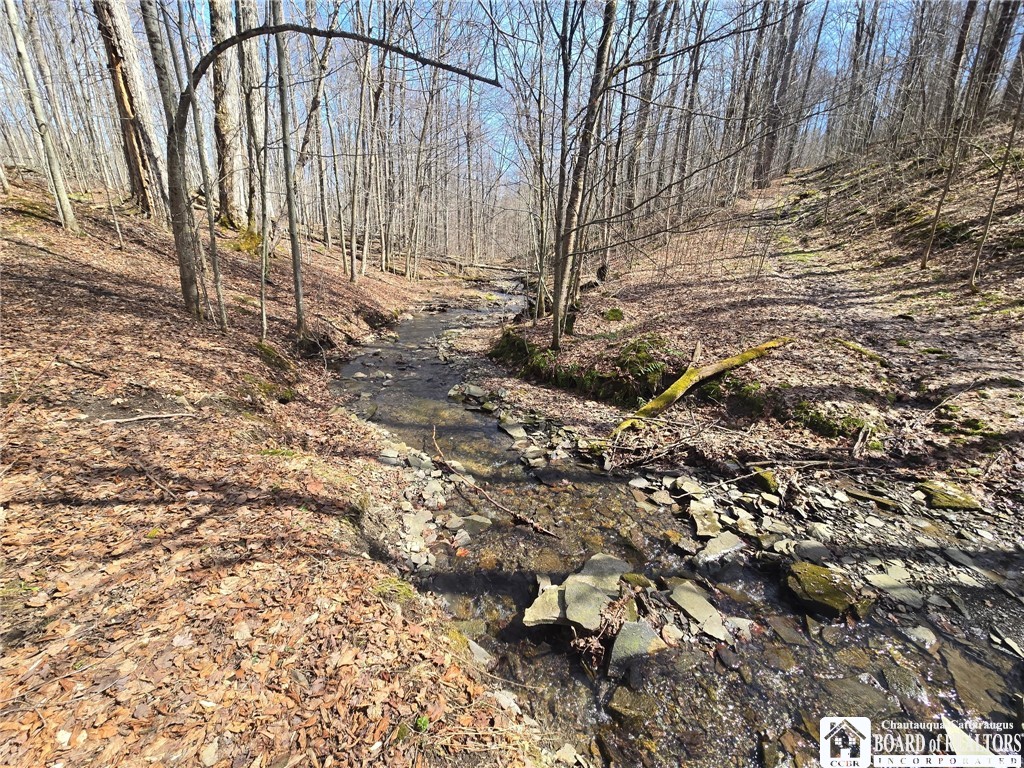 0 West Cobb Road Falconer, NY 14733 - Photo 13 of 49