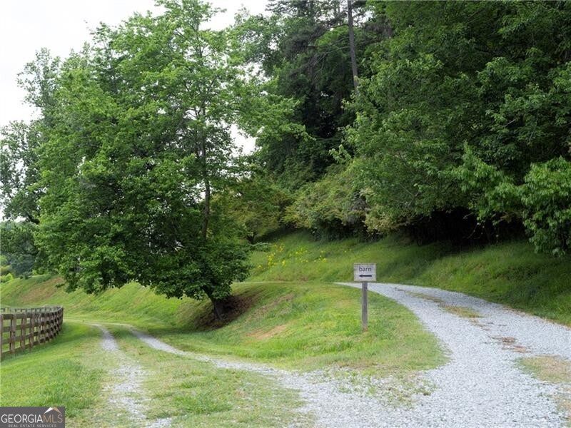 619 Hamp Mill Road Dahlonega, GA 30533 - Photo 10 of 118