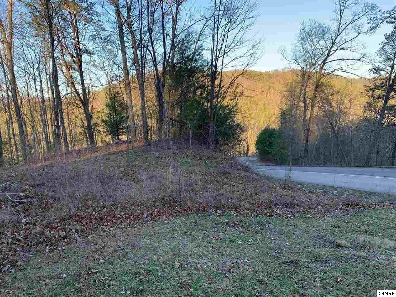 66 Whetstone Road Sevierville, TN 37863 - Photo 1 of 6