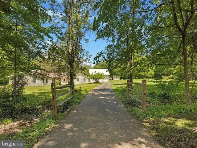 a view of a park with large trees