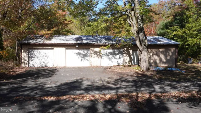 a view of a yard with plants and trees