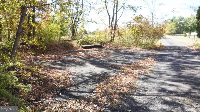 a view of dirt yard with a tree