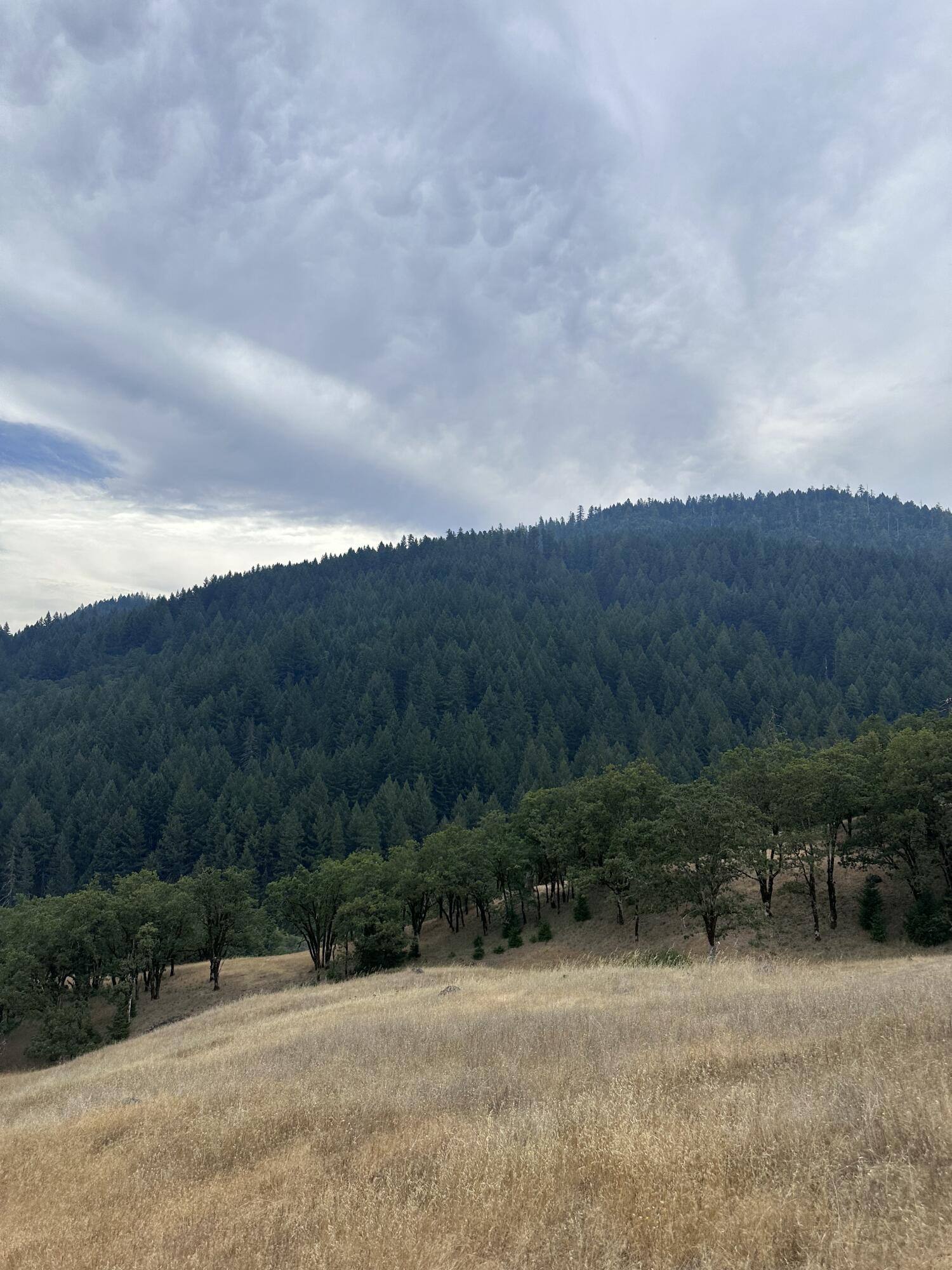 0 River Road Miranda, CA 95553 - Photo 14 of 31