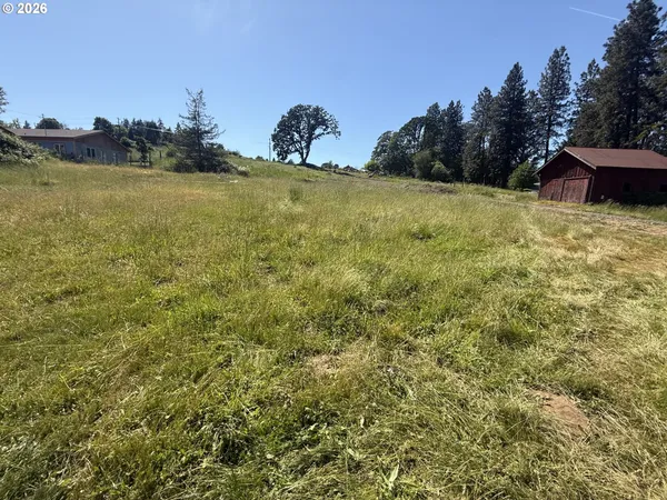 a view of a field with an ocean view