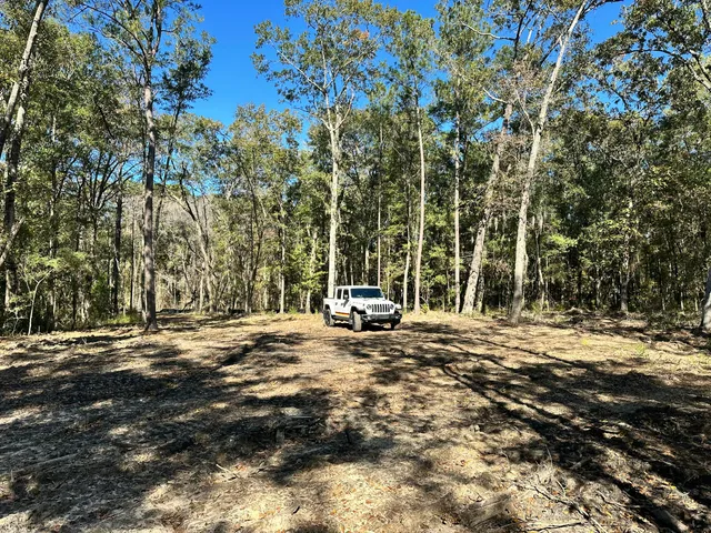 $315,000 | 3675 Chisolm Road, Johns Island, SC 29455