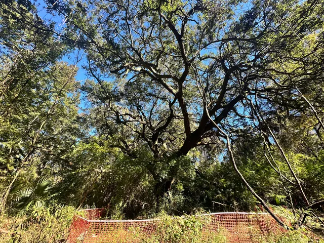 $315,000 | 3675 Chisolm Road, Johns Island, SC 29455