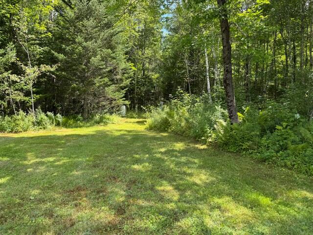 186 South South Arm Road Andover, ME 04216 - Photo 6 of 22 Yard
