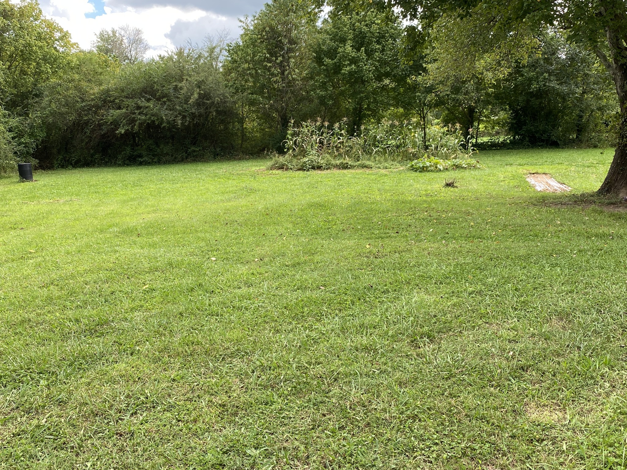 50 Beaty Road Crossville, TN 38571 - Photo 14 of 15 Gallery Image 14