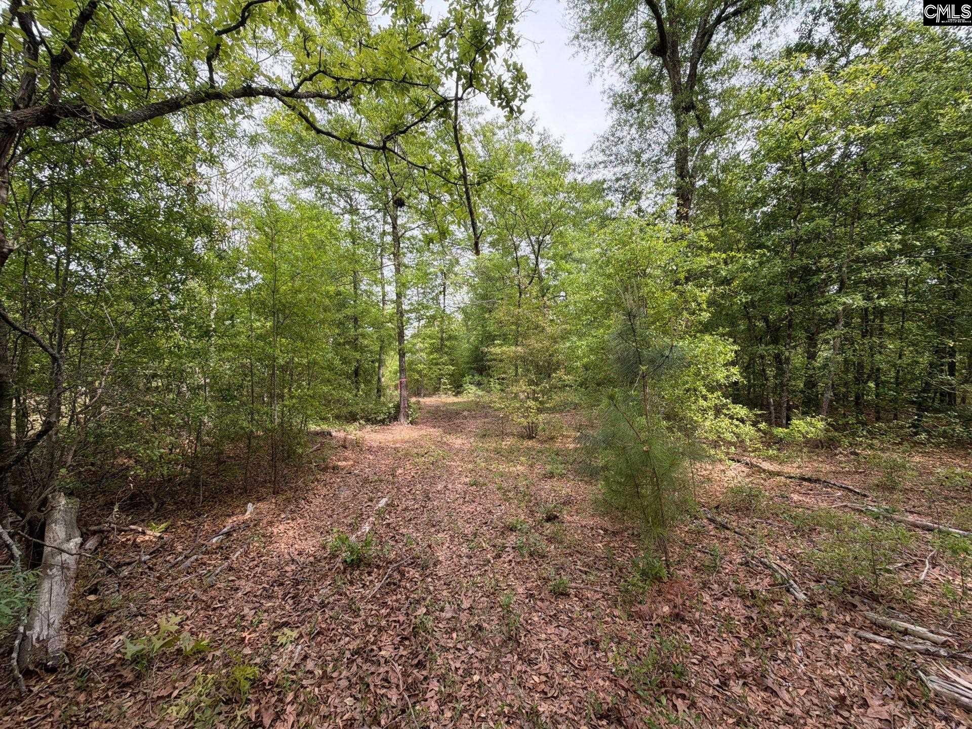 2 Rogers Cemetery Road Aiken, SC 29801 - Photo 19 of 26