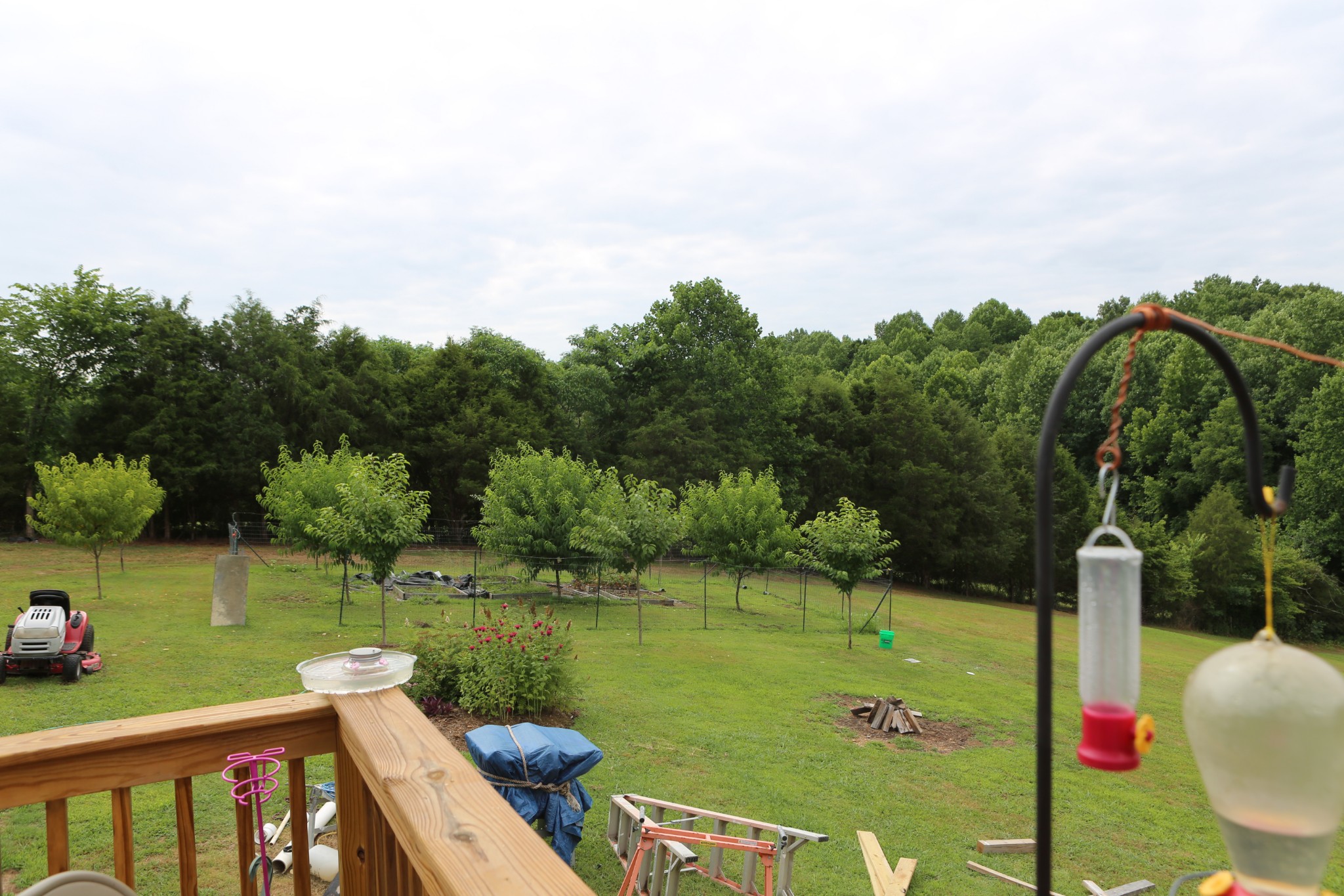 562 Collins Road Red Boiling Springs, TN 37150 - Photo 6 of 24