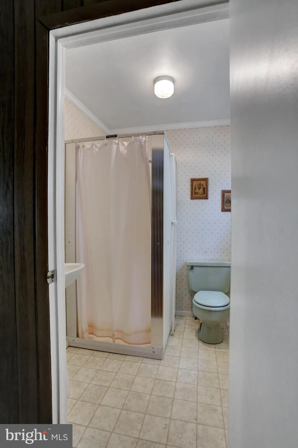 4009 Back Road Halifax, PA 17032 - Photo 32 of 49 BATHROOM 2