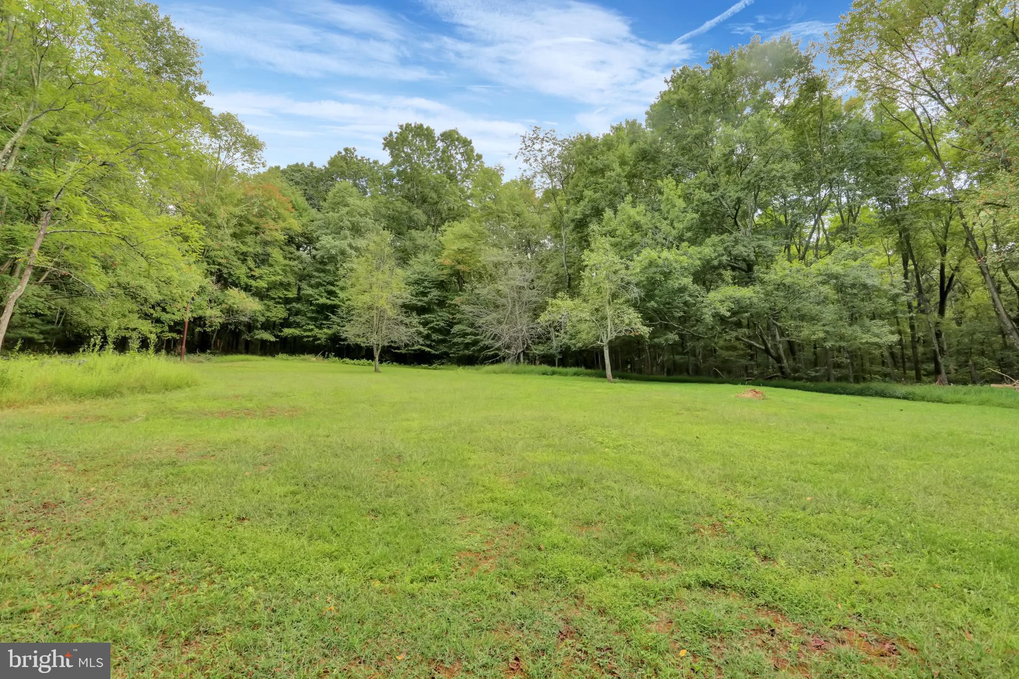 4009 Back Road Halifax, PA 17032 - Photo 44 of 49 REAR EXTERIOR LAND VIEW