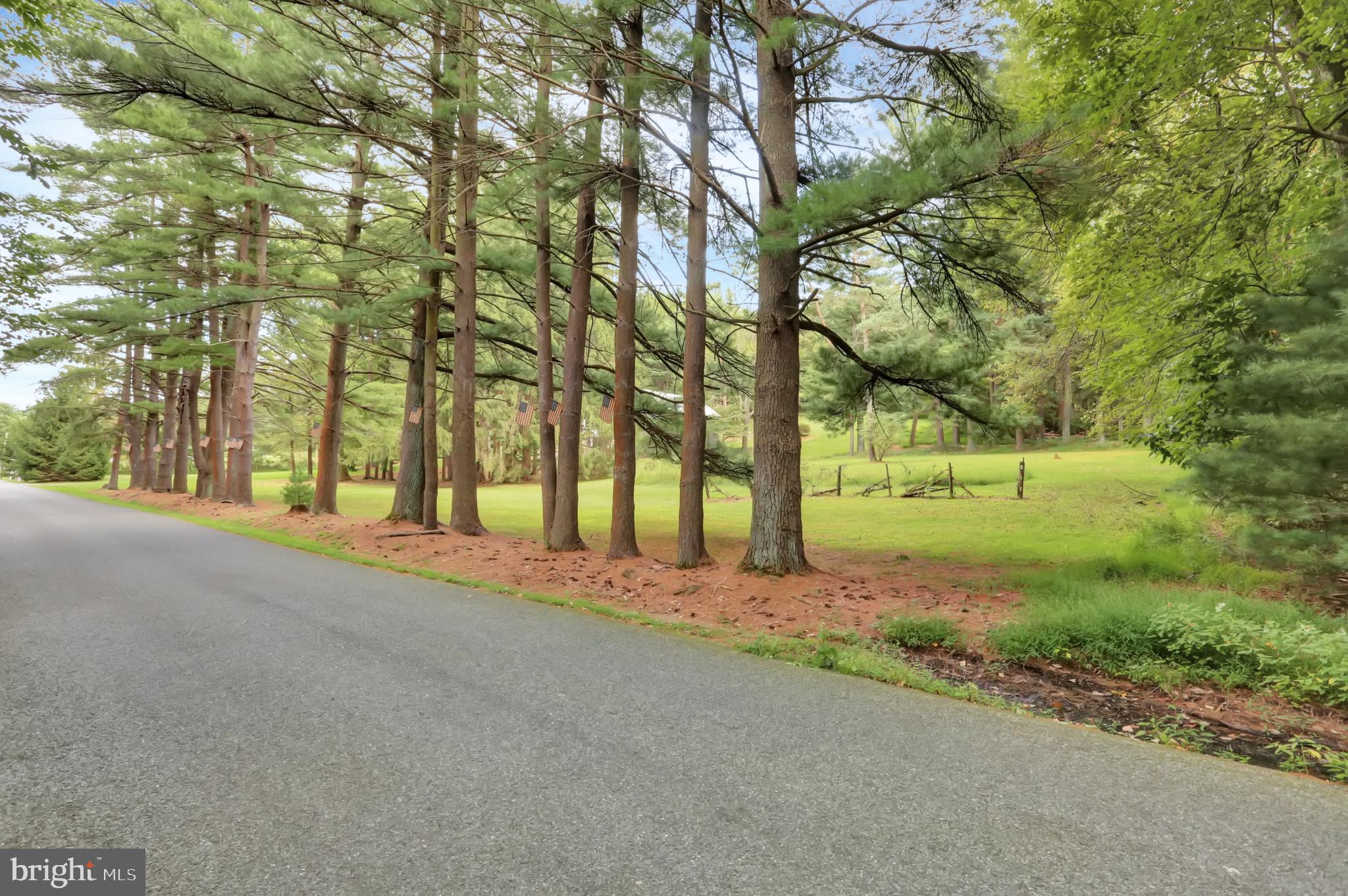 4009 Back Road Halifax, PA 17032 - Photo 46 of 49 ROAD VIEW