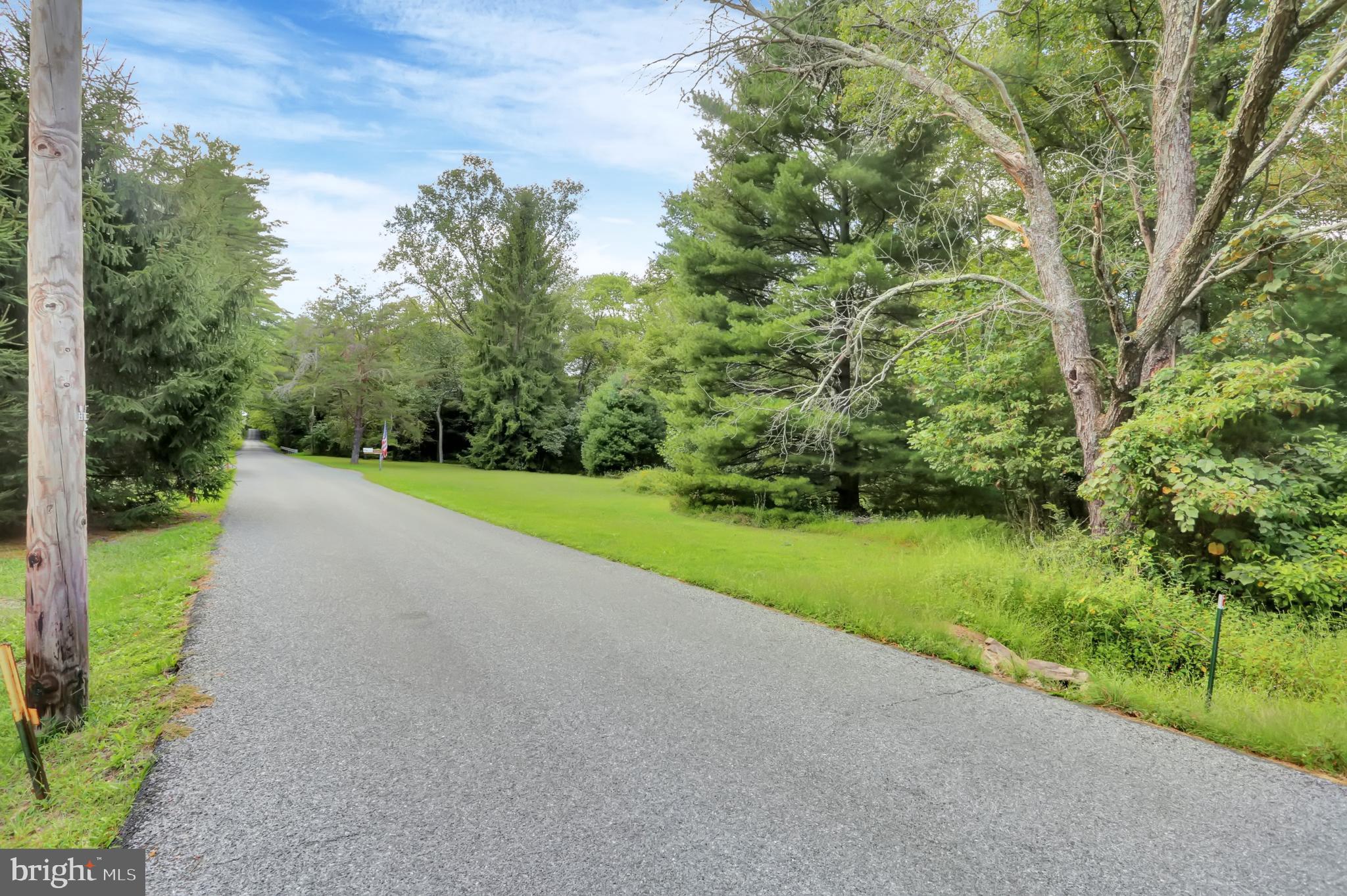 4009 Back Road Halifax, PA 17032 - Photo 47 of 49 ROAD FRONTAGE VIEW