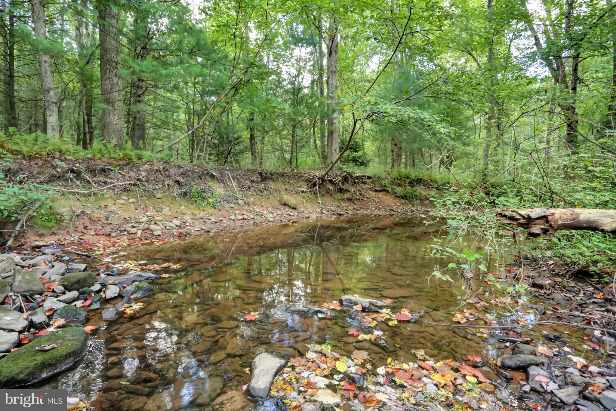 4009 Back Road Halifax, PA 17032 - Photo 48 of 49 STREAM THROUGH PARCEL
