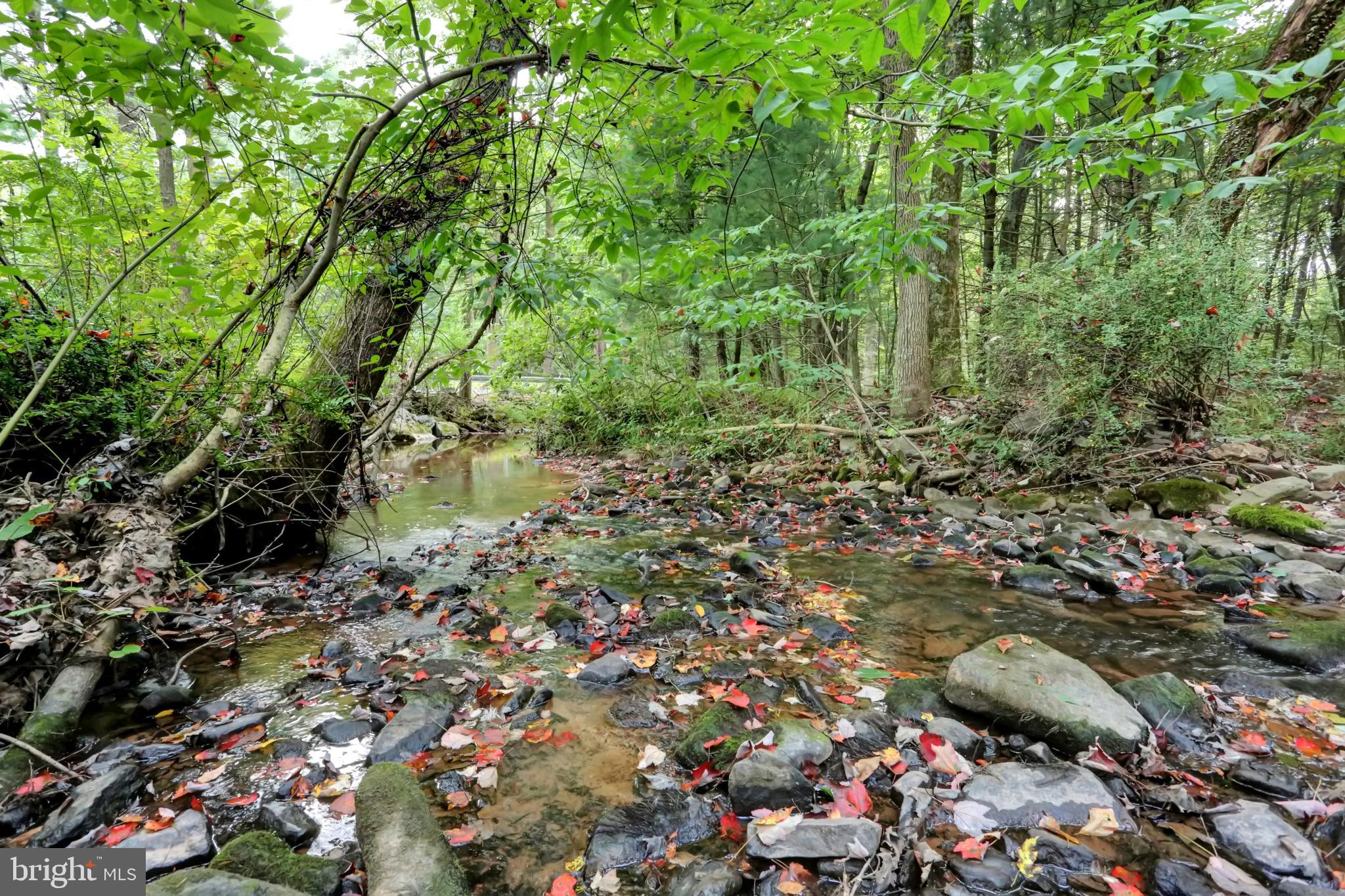 4009 Back Road Halifax, PA 17032 - Photo 49 of 49 STREAM THROUGH PARCEL