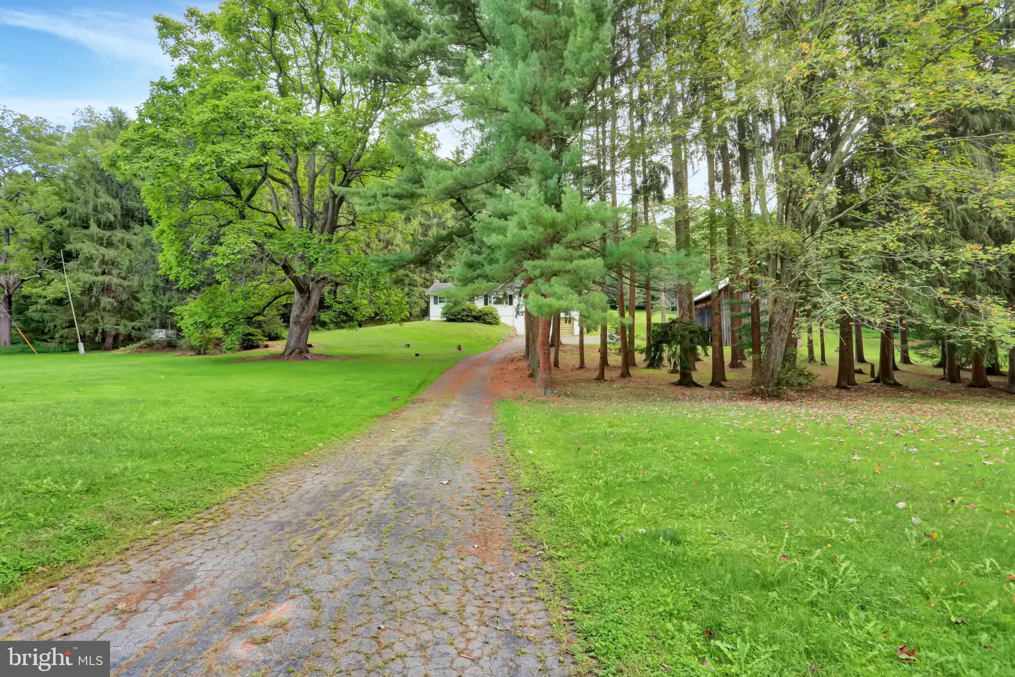 4009 Back Road Halifax, PA 17032 - Photo 8 of 49 FRONT EXTERIOR FROM ROAD