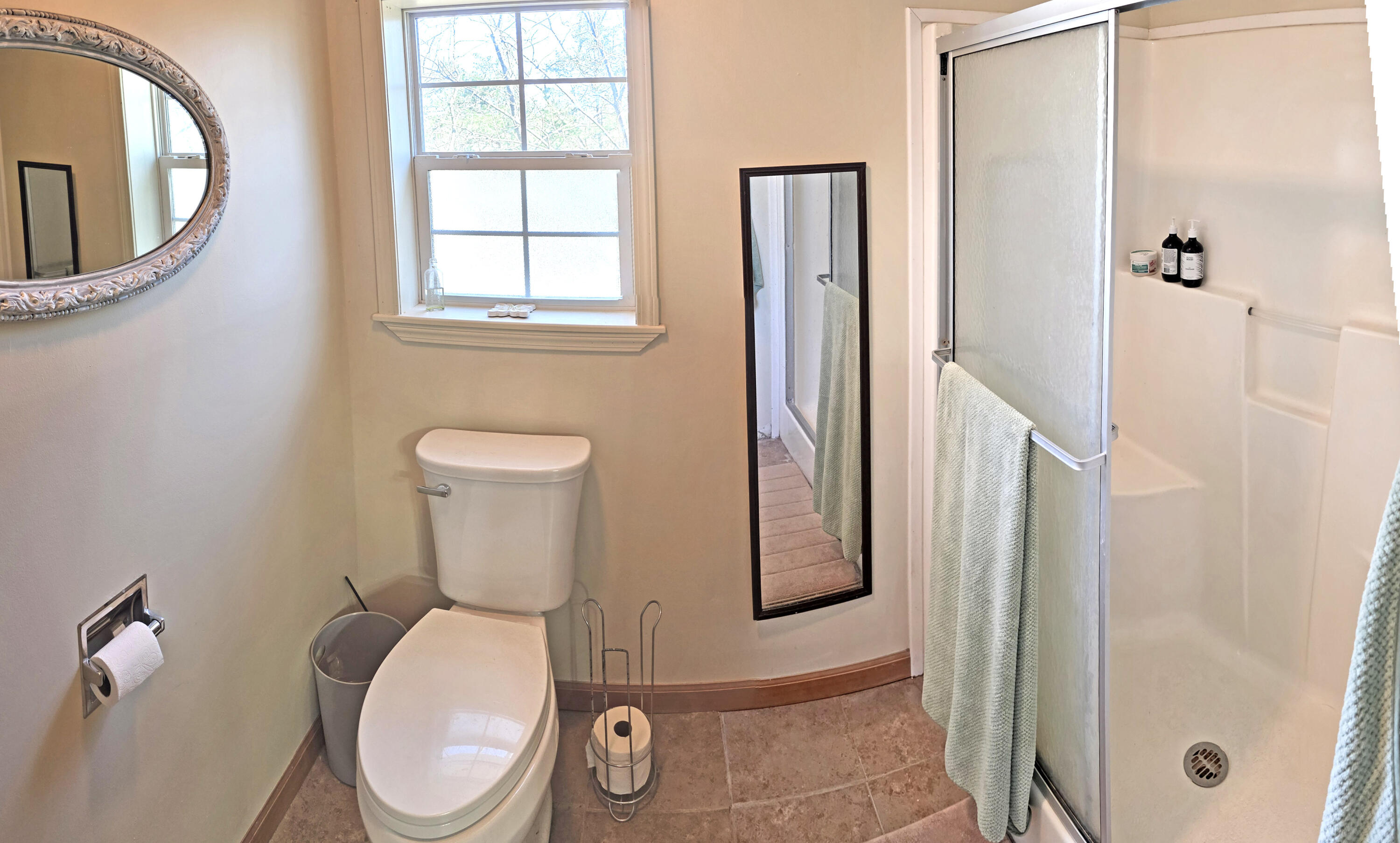 235 Iowa Colony Road Hollister, MO 65672 - Photo 37 of 68 Master Bath Walk In Shower
