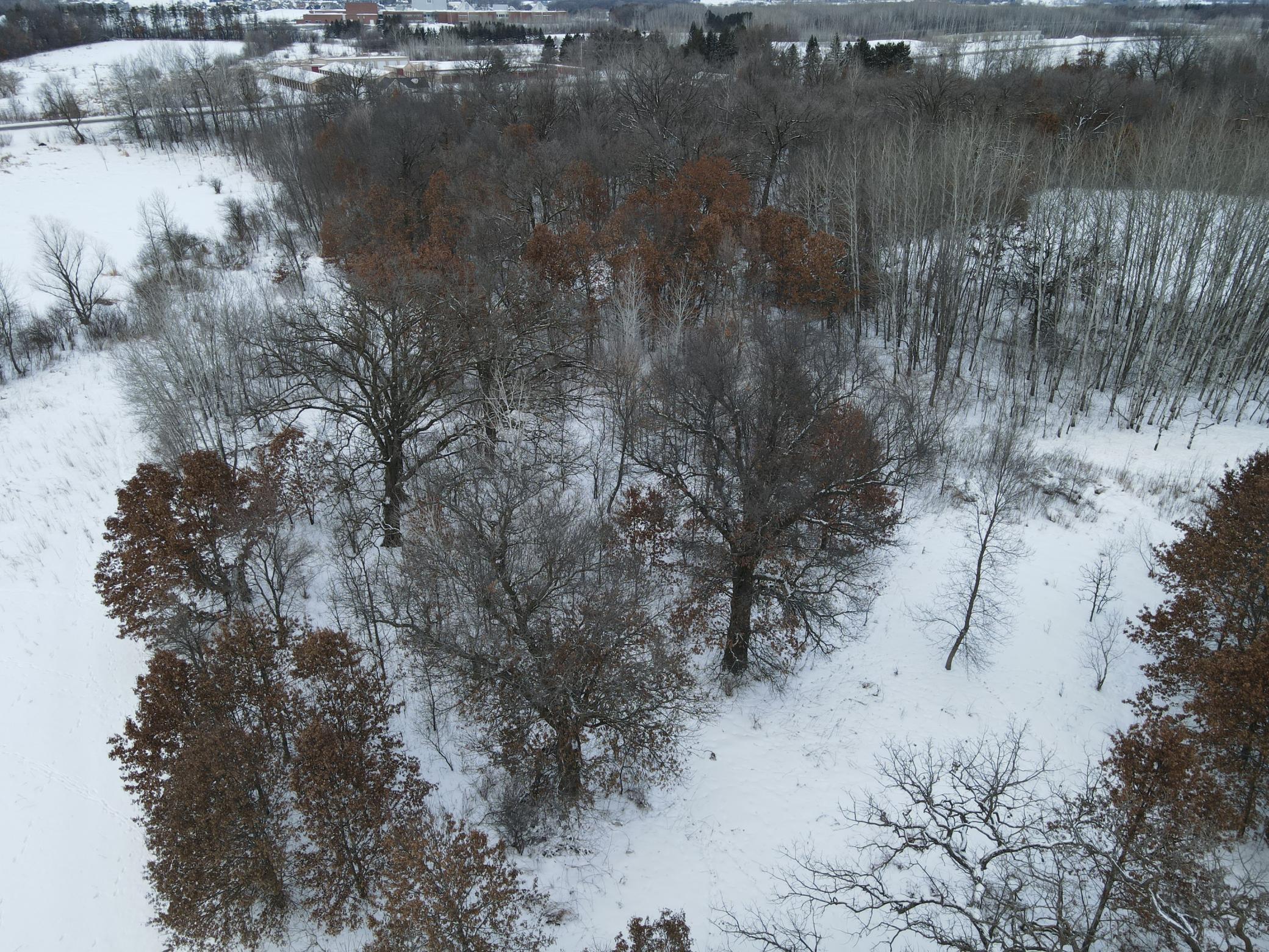 Tbd Golden Spike Road Northeast Sauk Rapids, MN 56379 - Photo 16 of 20