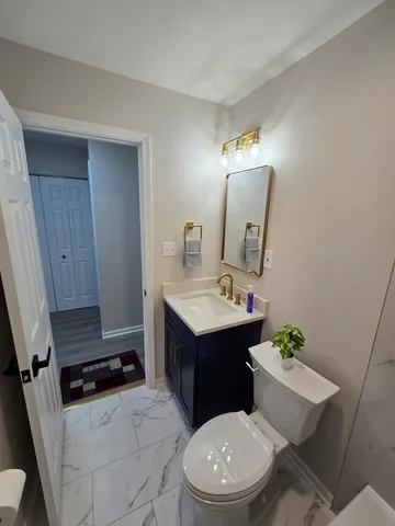 a bathroom with a sink toilet vanity and mirror
