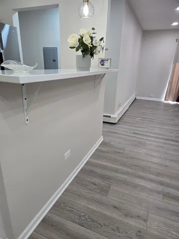 a view of an empty room with wooden floor and a potted plant