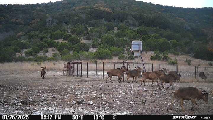 2242 Patterson Creek Road Leakey, TX 78873 - Photo 63 of 72 Gallery Image 63