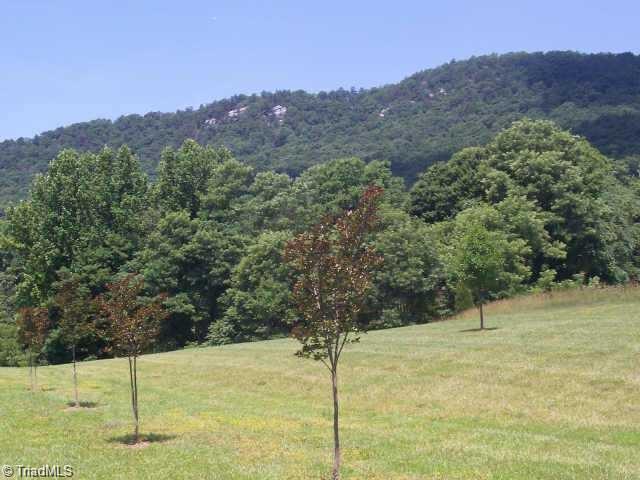 1651 Marshall Smith Road King, NC 27021 - Photo 3 of 30