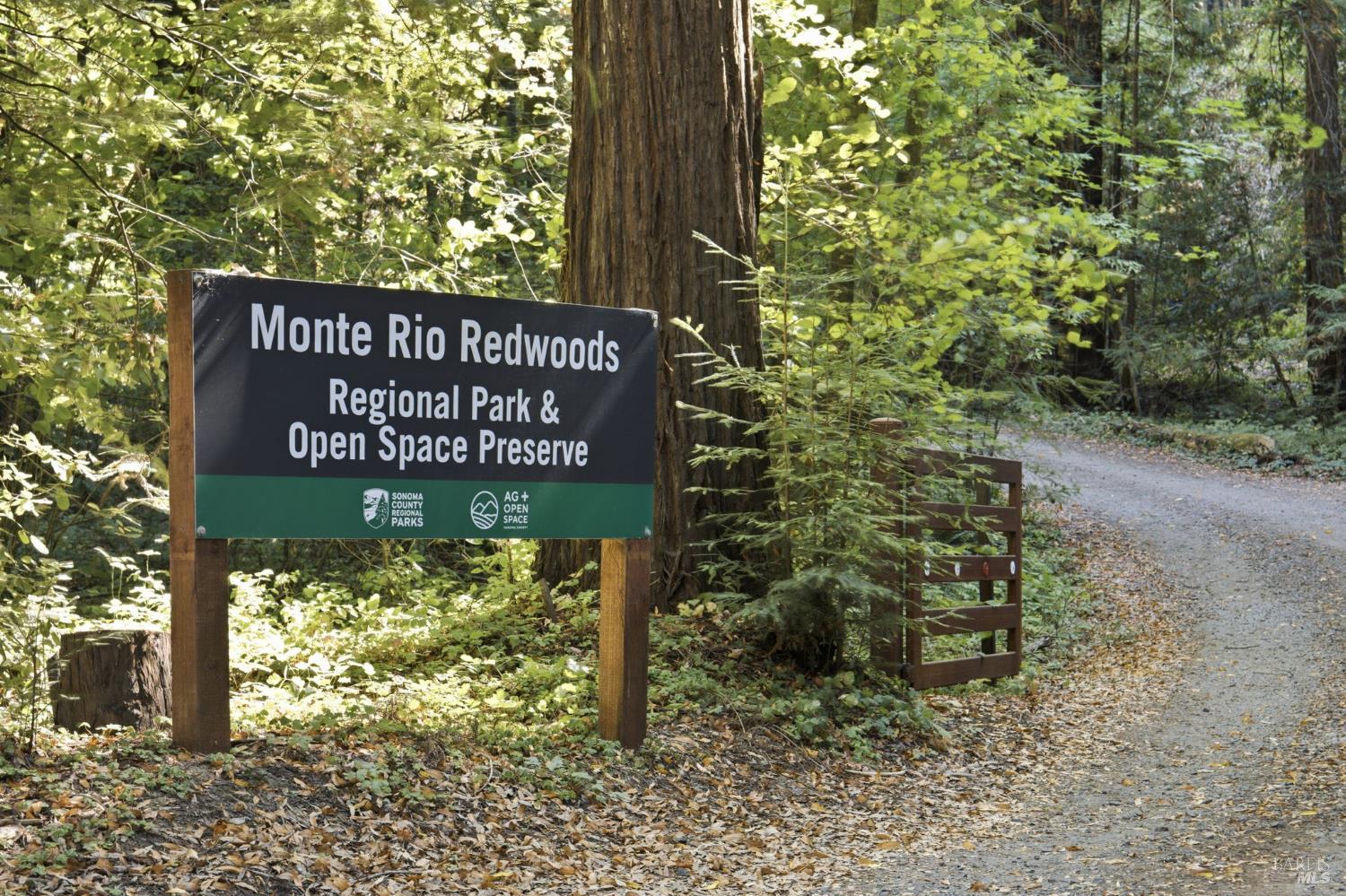 9085 Middle Terrace Monte Rio, CA 95462 - Photo 44 of 47 Gallery Image 44