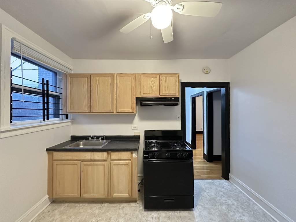 415 East 80th Street, Unit 1 Chicago, IL 60619 - Photo 7 of 20