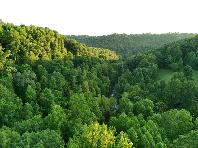 $649,900 | 778 Jones Hollow Road, Woodbury, TN 37190