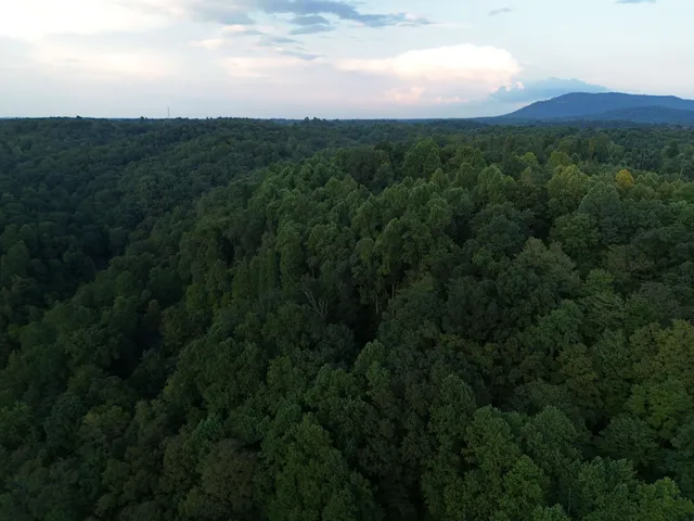 $649,900 | 778 Jones Hollow Road, Woodbury, TN 37190