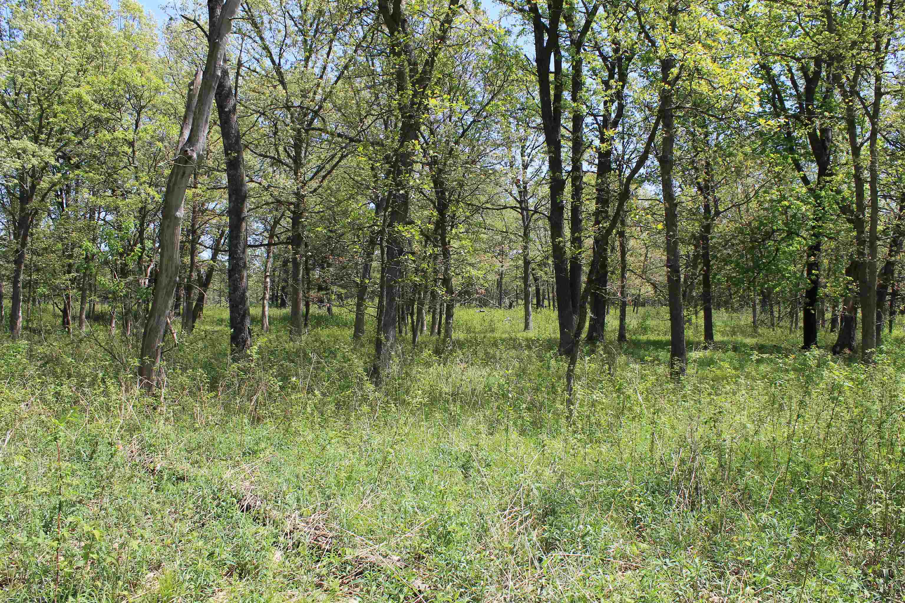 Czech Road Wautoma, WI 54982 - Photo 45 of 72