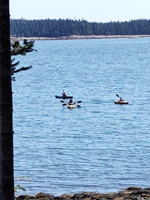 331 Paul Bunyan Road Corea, ME 04624 - Photo 58 of 62 kayaking from the shore