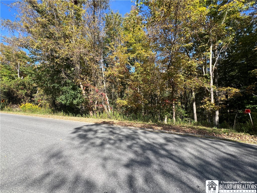 Orr Street Jamestown, NY 14701 - Photo 11 of 13